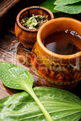 Herbal plantain tea