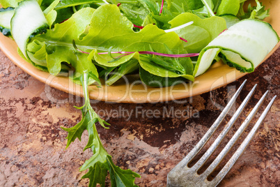 Salad with mix salad leaves