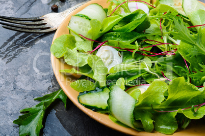 Salad with mix salad leaves