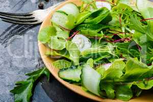 Salad with mix salad leaves