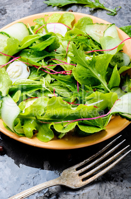 Fresh spring salad