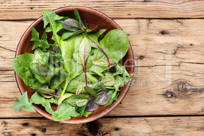 Healthy spring salad
