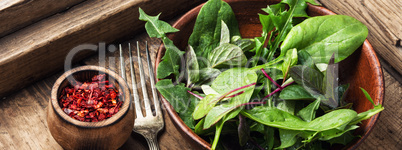 Fresh green salad