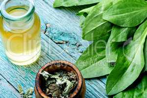 Plantain-valuable medicinal plants