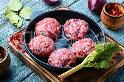 Raw meat balls