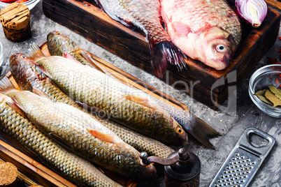 Variety of raw fresh fish