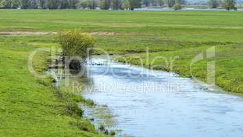 Biotop an der Elbe