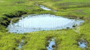 Biotop an der Elbe - Nationalpark Elbtalaue an der Elbe