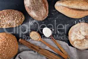 baked different loaves of bread on a black background