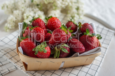 Erdbeeren