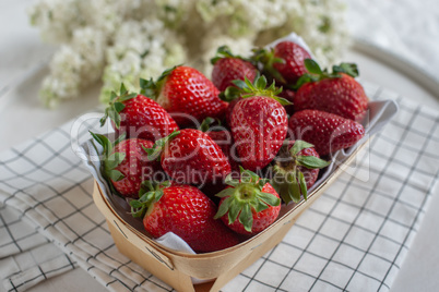 Erdbeeren