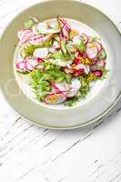 Salad of radish and green