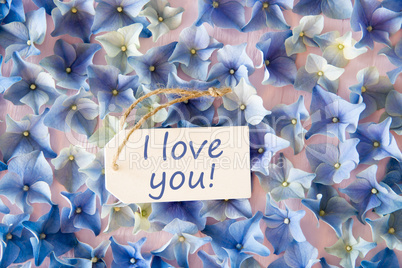 Hydrangea Flat Lay, Text I Love You