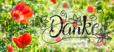 Poppy Flower, Spring, Calligraphy Danke Means Thank You