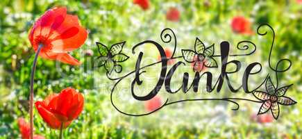 Poppy Flower, Spring, Calligraphy Danke Means Thank You