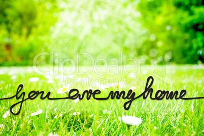 Sunny Spring Meadow, Daisy, Calligraphy You Are My Home