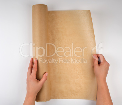 roll of brown parchment paper in female hands
