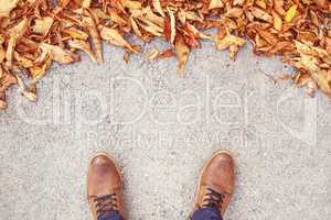 Autumn is coming, Male shoes on street with leaves