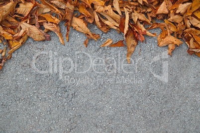Leaves on street, Fall is coming, with empty space for text