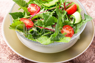 Bowl of salad with greens