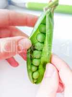 Young woman shelling fresh green peas