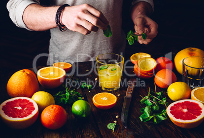 Citrus Cocktail with Ingredients.