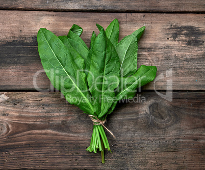bunch of fresh green leaves of sorrel on a wooden table