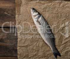 fresh whole sea bass fish on brown crumpled paper