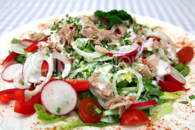 Gemischter Salat mit Thunfisch