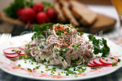 Wurstsalat mit Mayonnaise