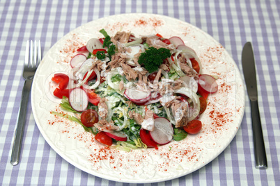 Gemischter Salat mit Thunfisch