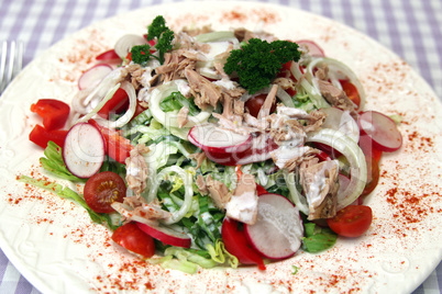 Gemischter Salat mit Thunfisch