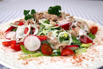 Gemischter Salat mit Thunfisch