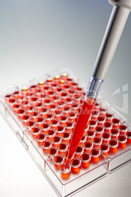 Red Solution or Blood Scientific Research With a Pipette and Cel