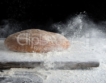 baked oval rye bread in sprinkles of white flour