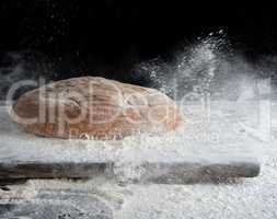 baked oval rye bread in sprinkles of white flour