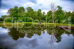 Landscape with pond and trees