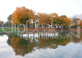 autumn in city park