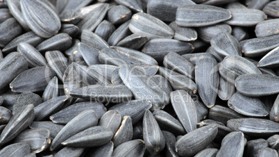 many of sunflower seeds background