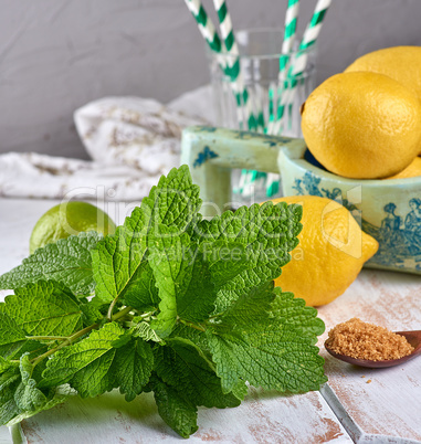 bunch of fresh mint and a wooden spoon with brown sugar on the