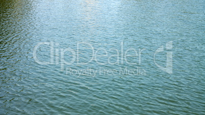 ripple on water in city park pond