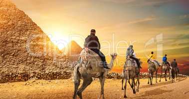 Camel Caravan and Pyramids