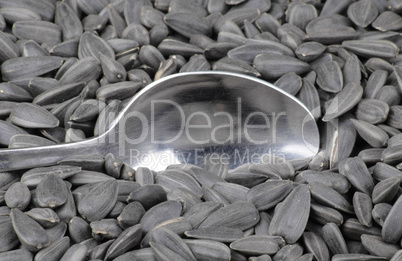 sunflower seeds background and teaspoon