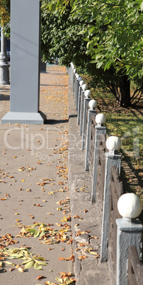 park in autumn