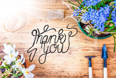 Sunny Spring Flowers, Calligraphy Thank You, Wooden Background