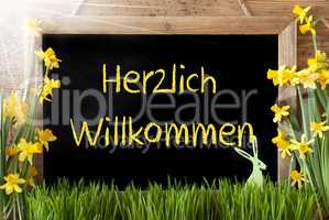 Sunny Narcissus, Easter Bunny, Herzlich Willkommen Means Welcome