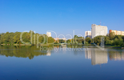 summer in city park