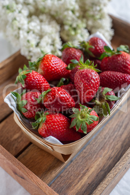 Erdbeeren