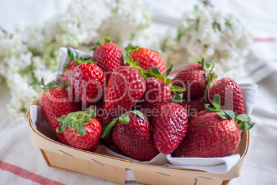 Erdbeeren