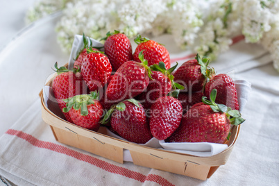 Erdbeeren